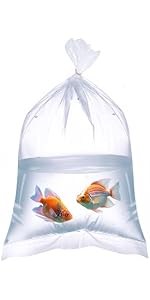 fish福袋　FL clear 31OR6so+E0L.__AC_SR150,300___.jpg